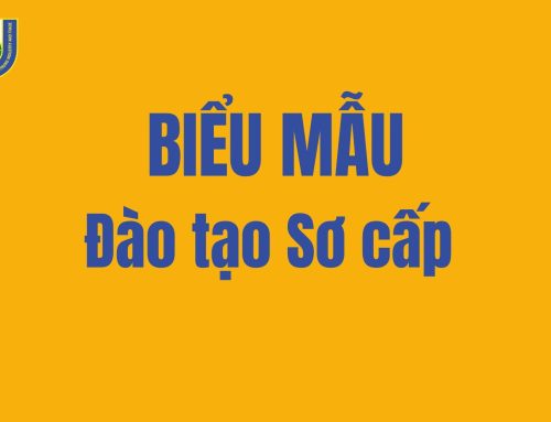 Đào tạo Sơ cấp