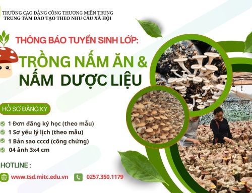 Thông báo tuyển sinh lớp Sơ cấp Trồng nấm ăn và nấm dược liệu